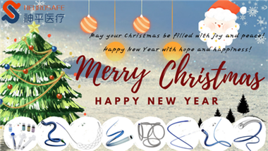 Wesołych Świąt i szczęśliwego Nowego Roku!